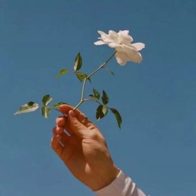 传世王者传奇最新版
