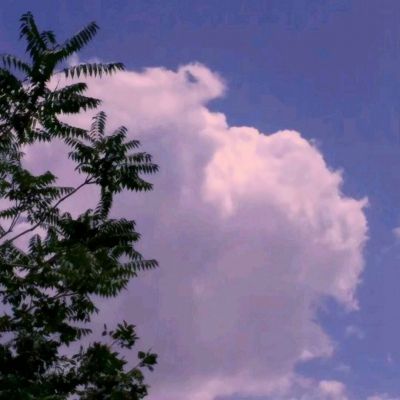 混沌九天手游(暂未上线)v1.0 官方安卓版
